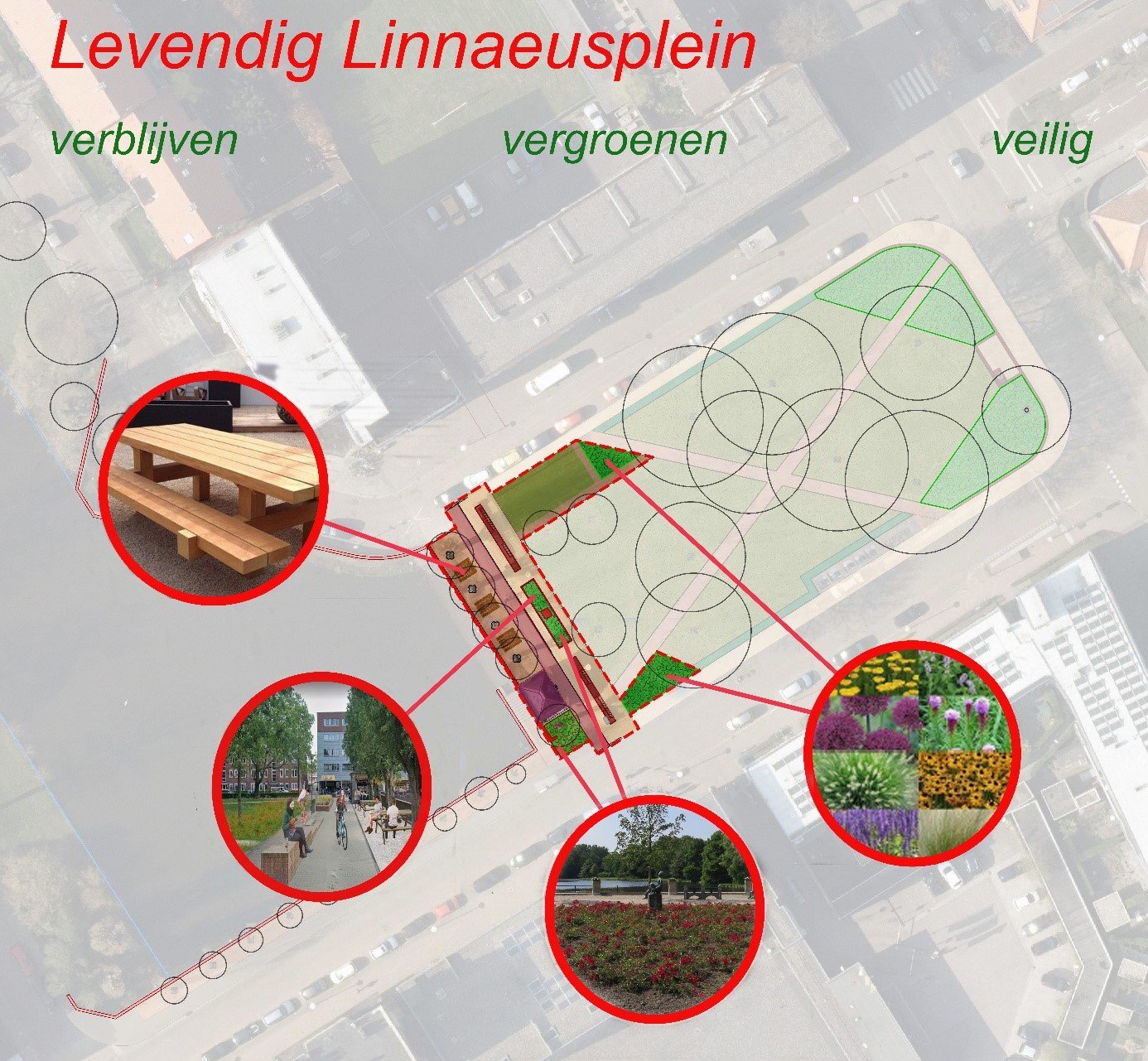 Afbeelding van hoogtepunten in beeld levendig Linnaeusplein