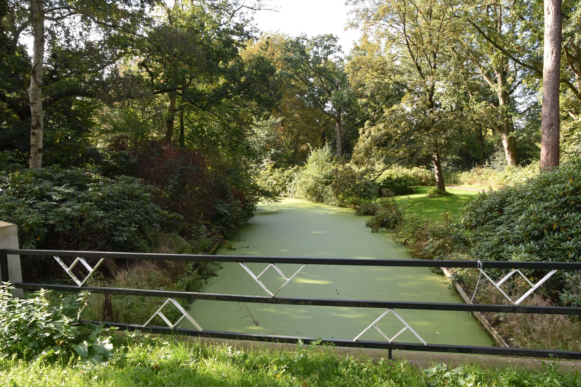 Foto van bruggetje met water in het Stadspark Groningen