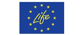 Afbeelding van logo European City Facility met Europese Vla Life