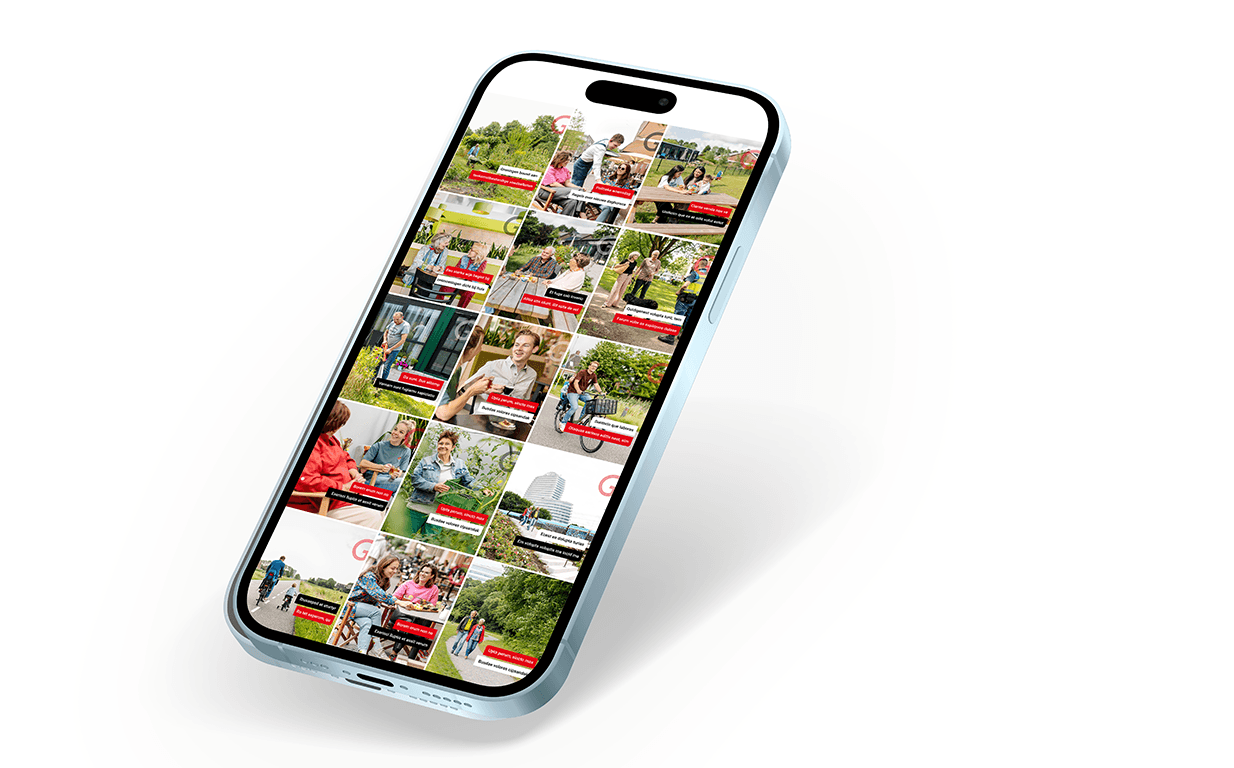 Voorbeelden online insta overzicht 