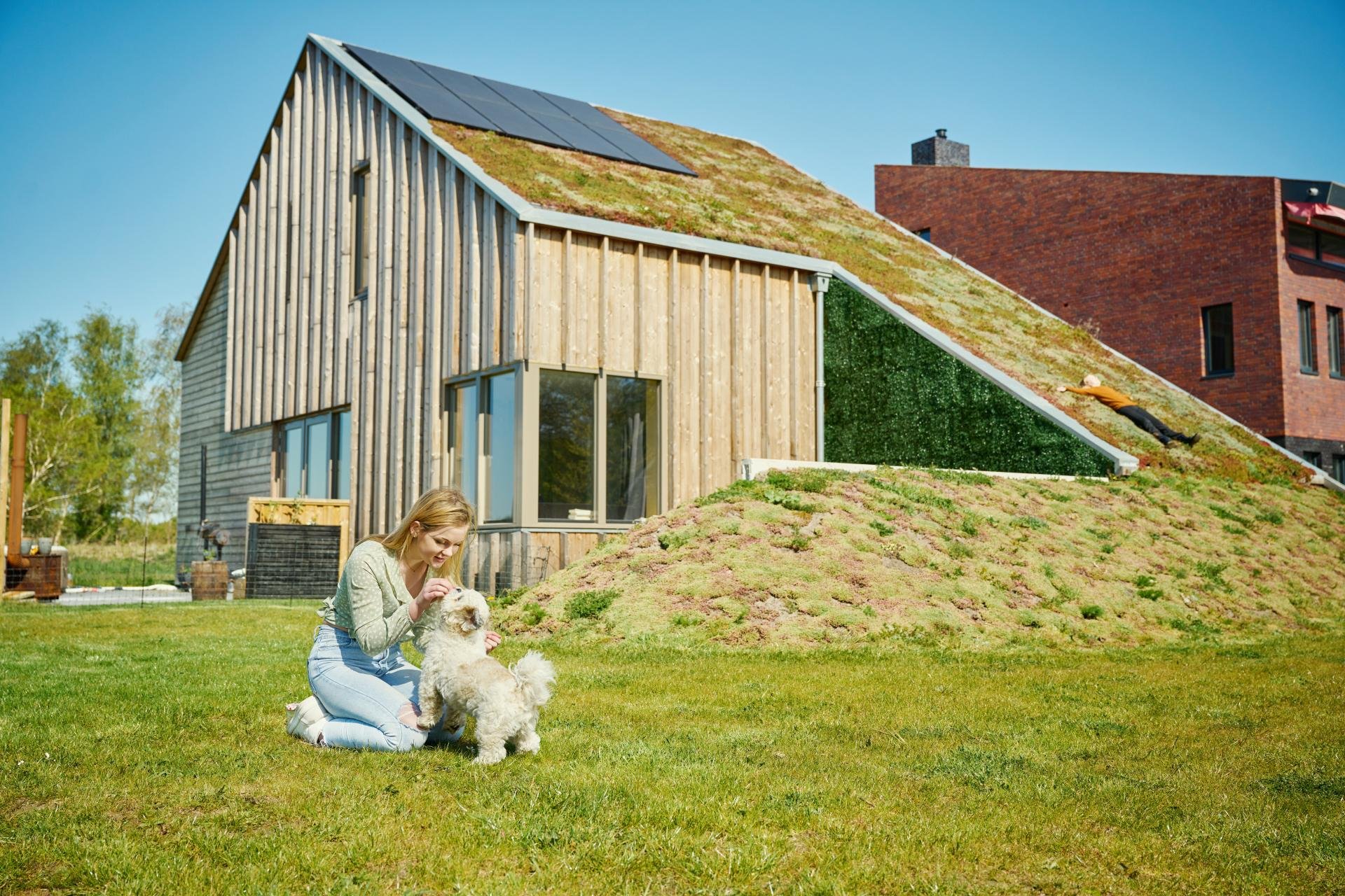 duurzaam_groningen_zonnepanelen_groen_dak