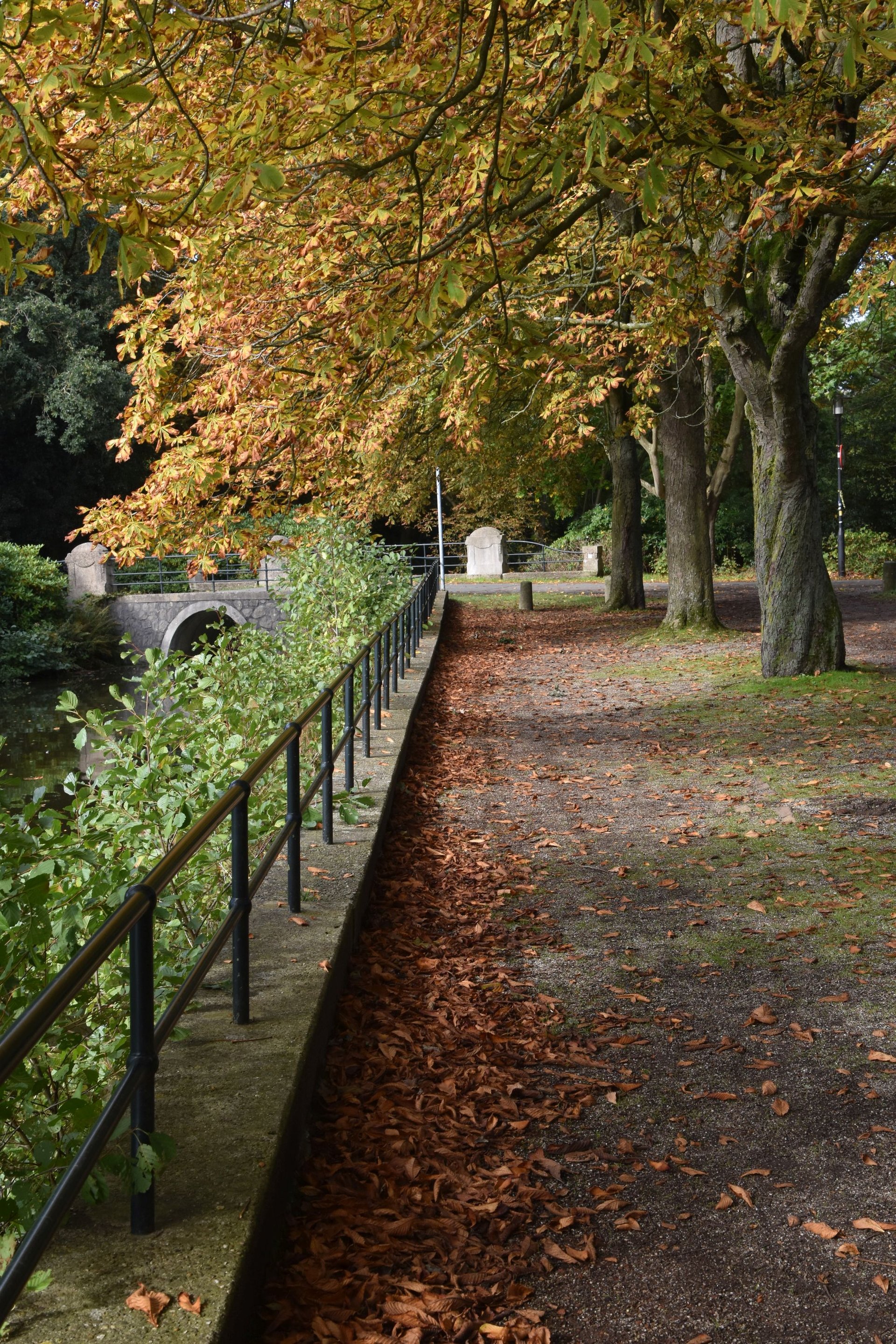 Foto van het Stadspark in Groningen in de herfst
