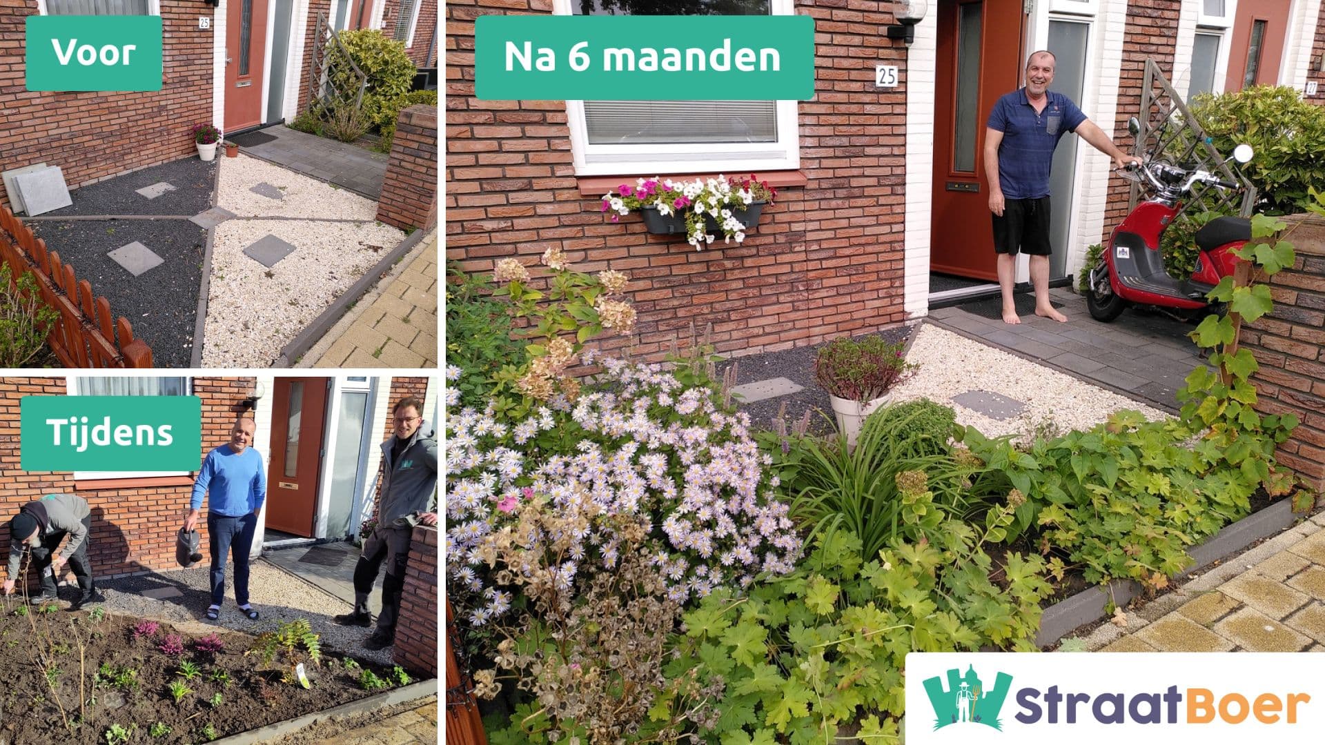 Vergroende voortuin
