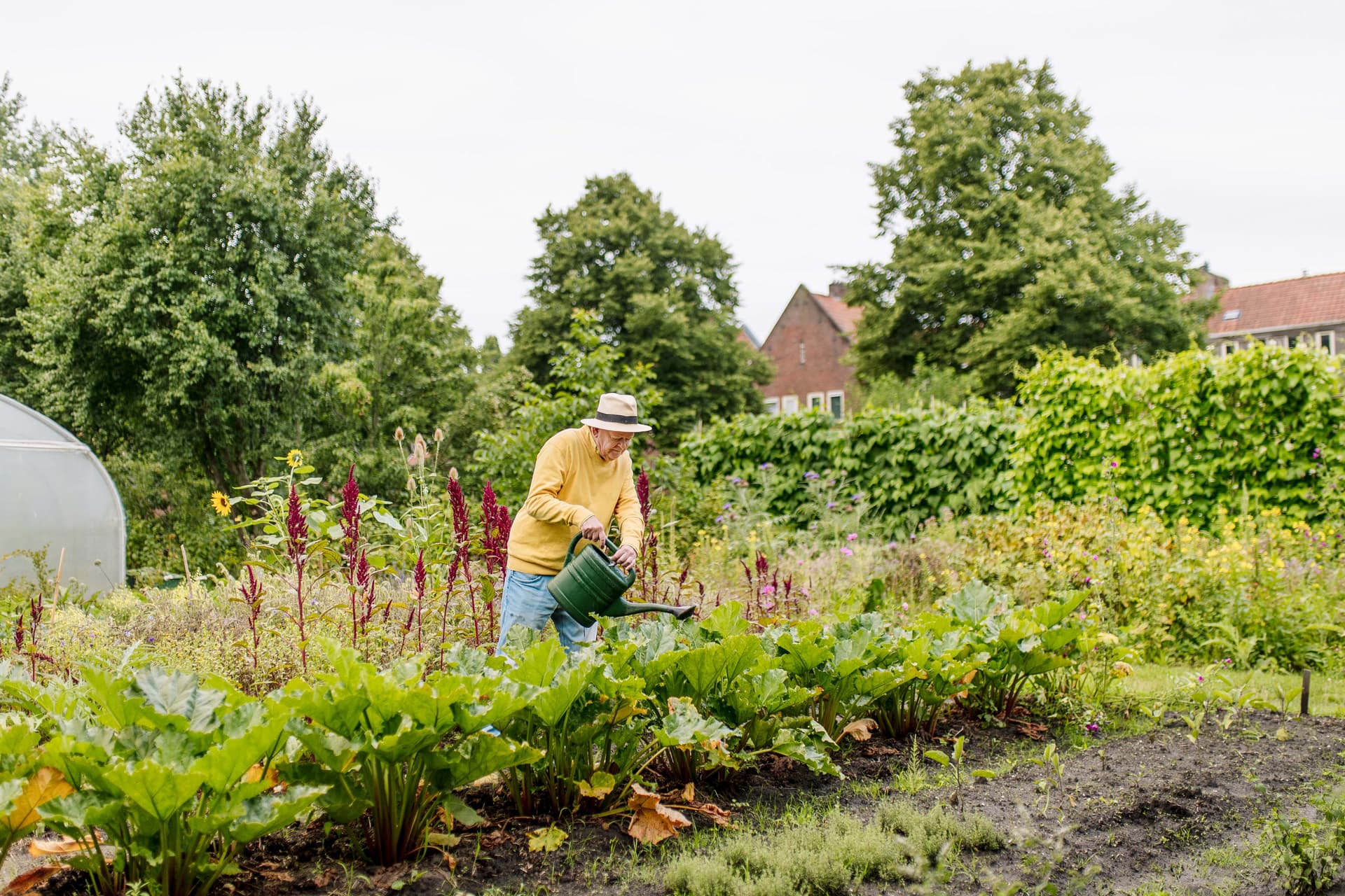 huisstijlfotografie_gem Groningen moestuin werken