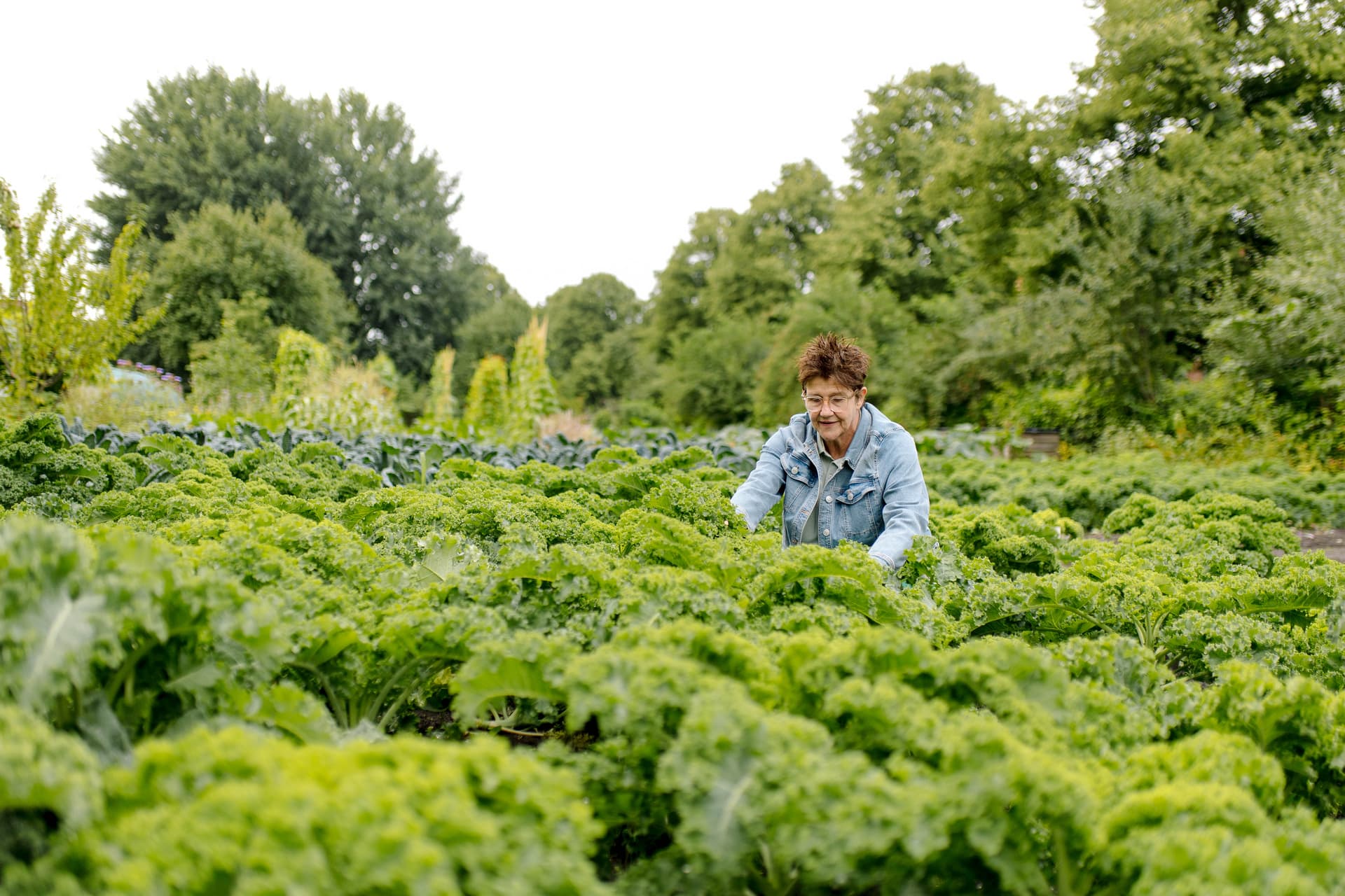 HG_huisstijlfotografie_gem Groningen werken in moestuin
