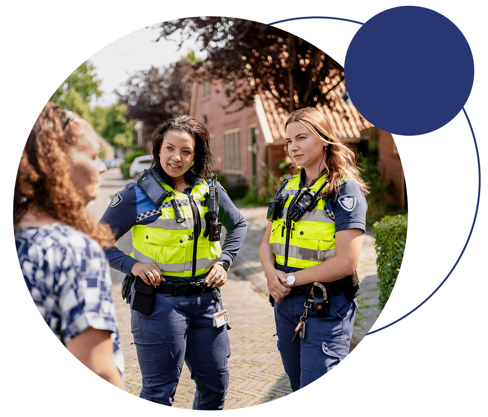 Betekenis blauw roze met foto