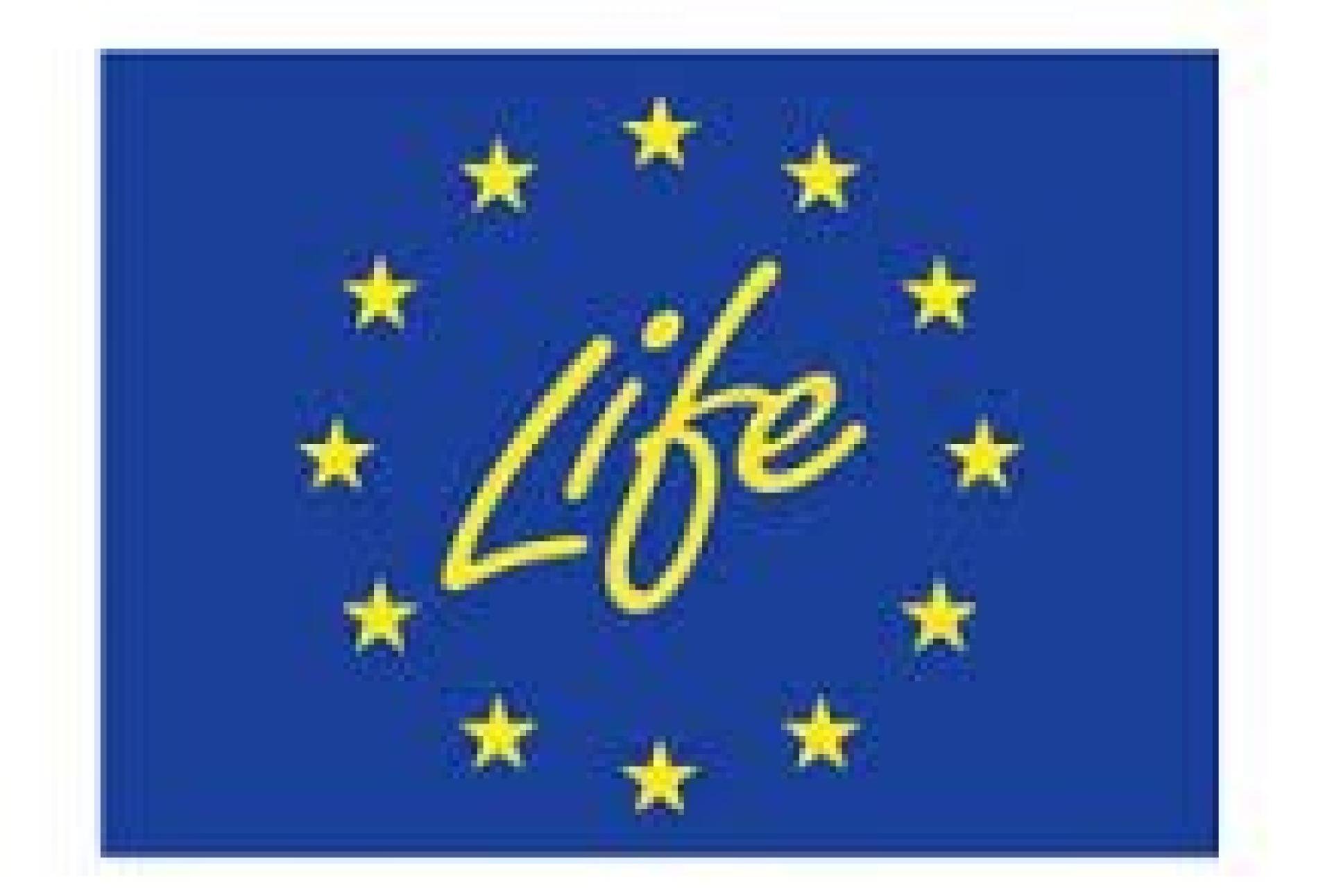 Afbeelding van logo European City Facility met Europese Vla Life